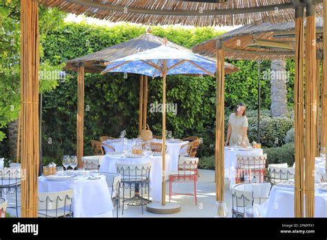 cafe dior des lices|dior cafe saint tropez menu.